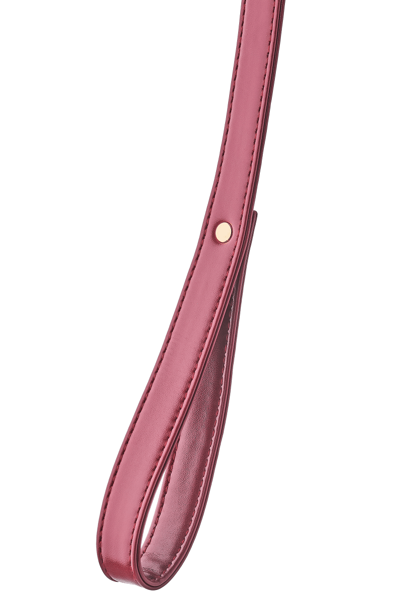 Blaze Elite Rød Halsbånd