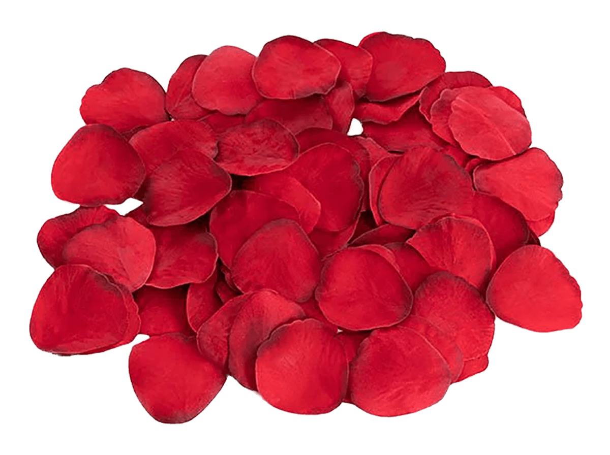 The Secrets Of Love Panty Play Kit