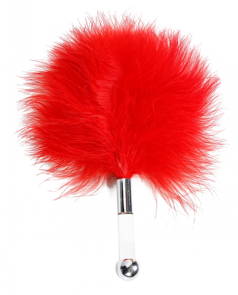 The Secrets Of Love Panty Play Kit