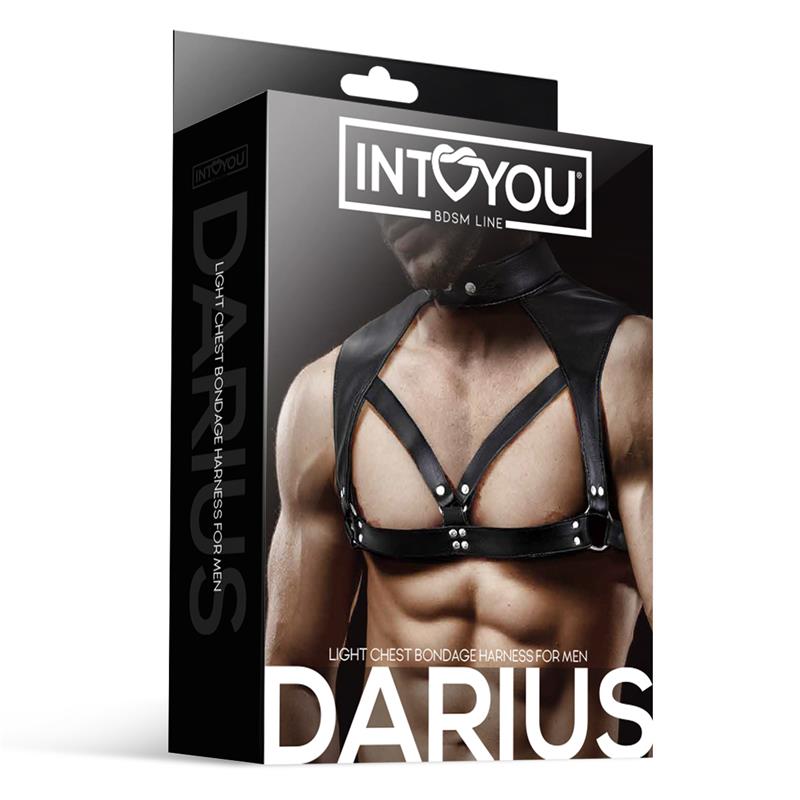 IntoYou Darius Harness