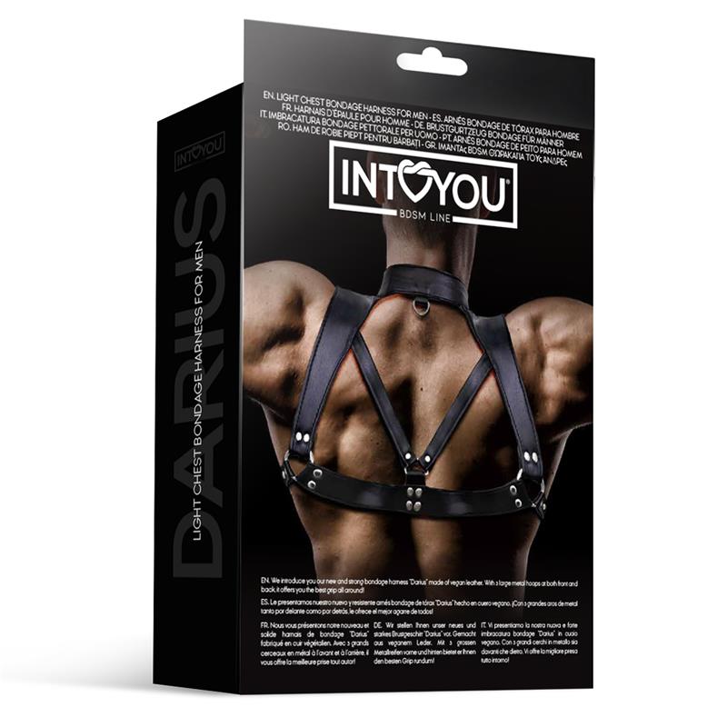 IntoYou Darius Harness