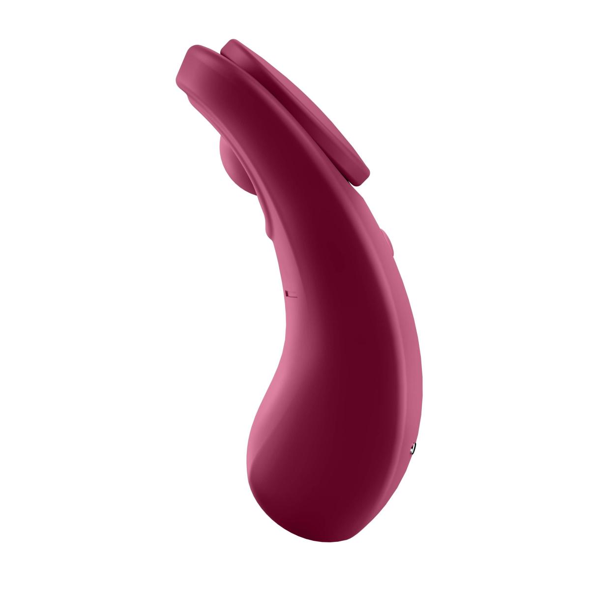 Satisfyer Sexy Secret Trusse Vibrator