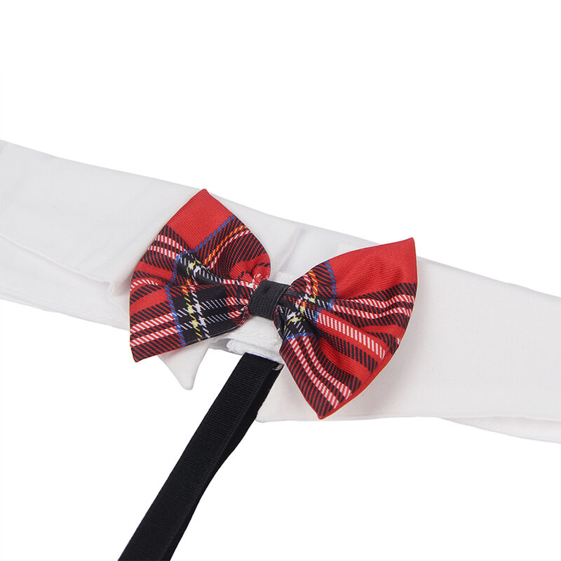 Ylivoimainen seksikäs koulutyttöasu