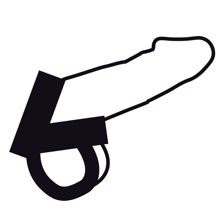 Dual Penisring Cock Harness