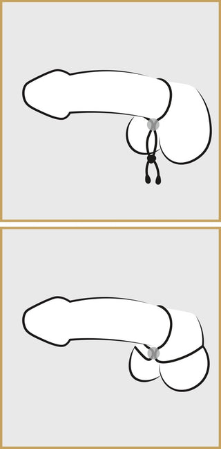 Cock&Balls Penisring
