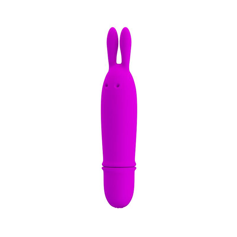 Boyce Mini Vibrator