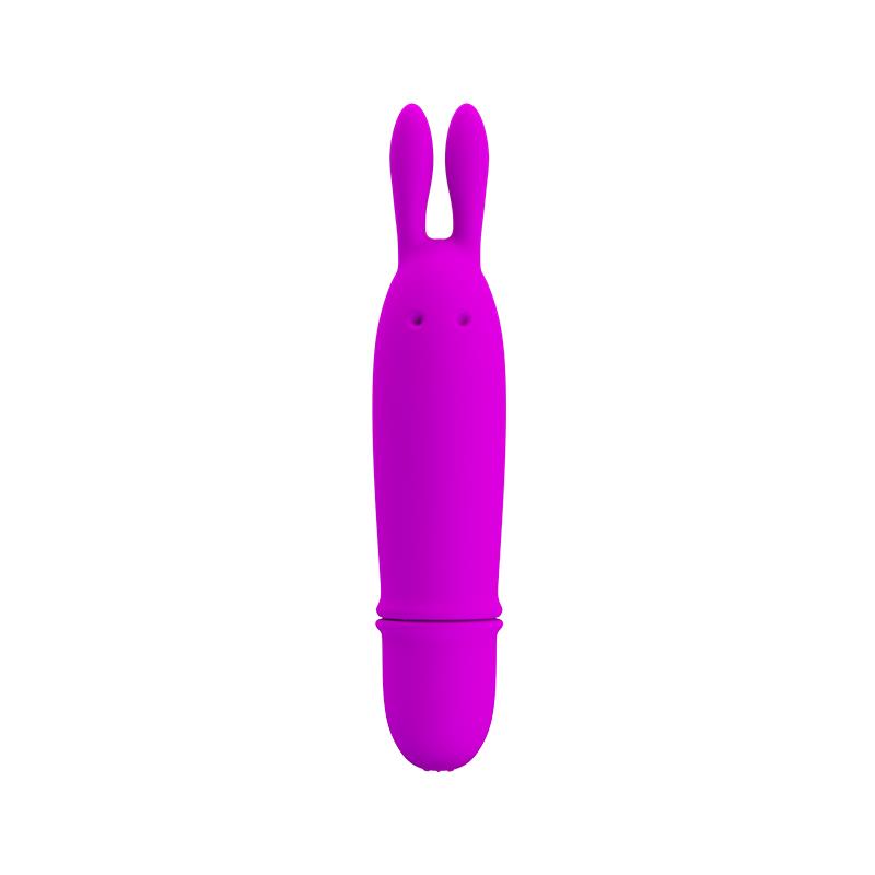 Boyce Mini Vibrator