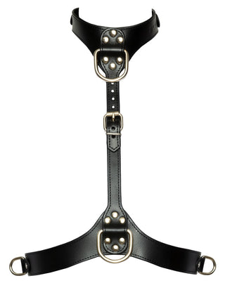 Chest Harness Dam