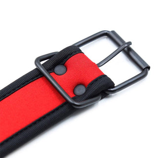 Neoprene Puppy Halsband
