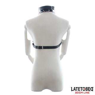 Harness BH-Set