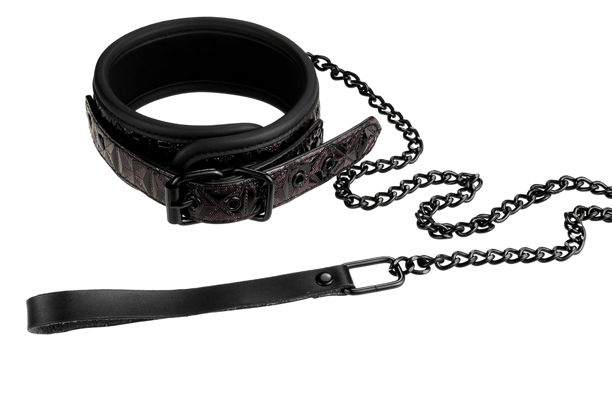 Blaze Purple Collar With Leash