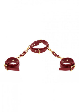 Halsband Med Handbojor