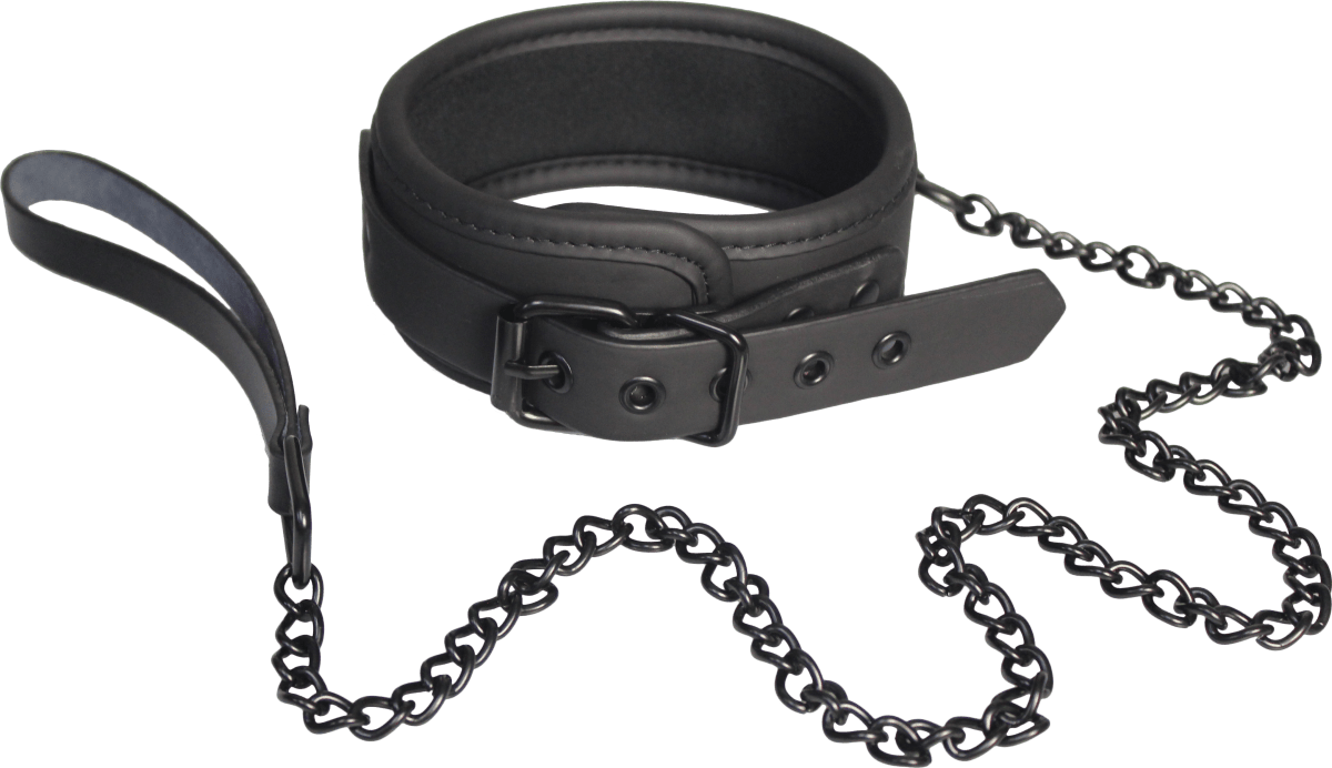 Collar With Leash - Blaze