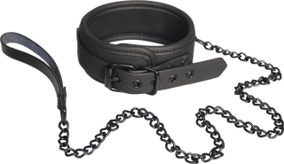 Halsband Med Koppel - Blaze