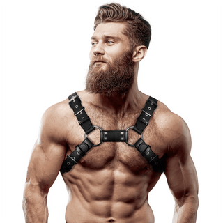 Fetish Bulldog Harness
