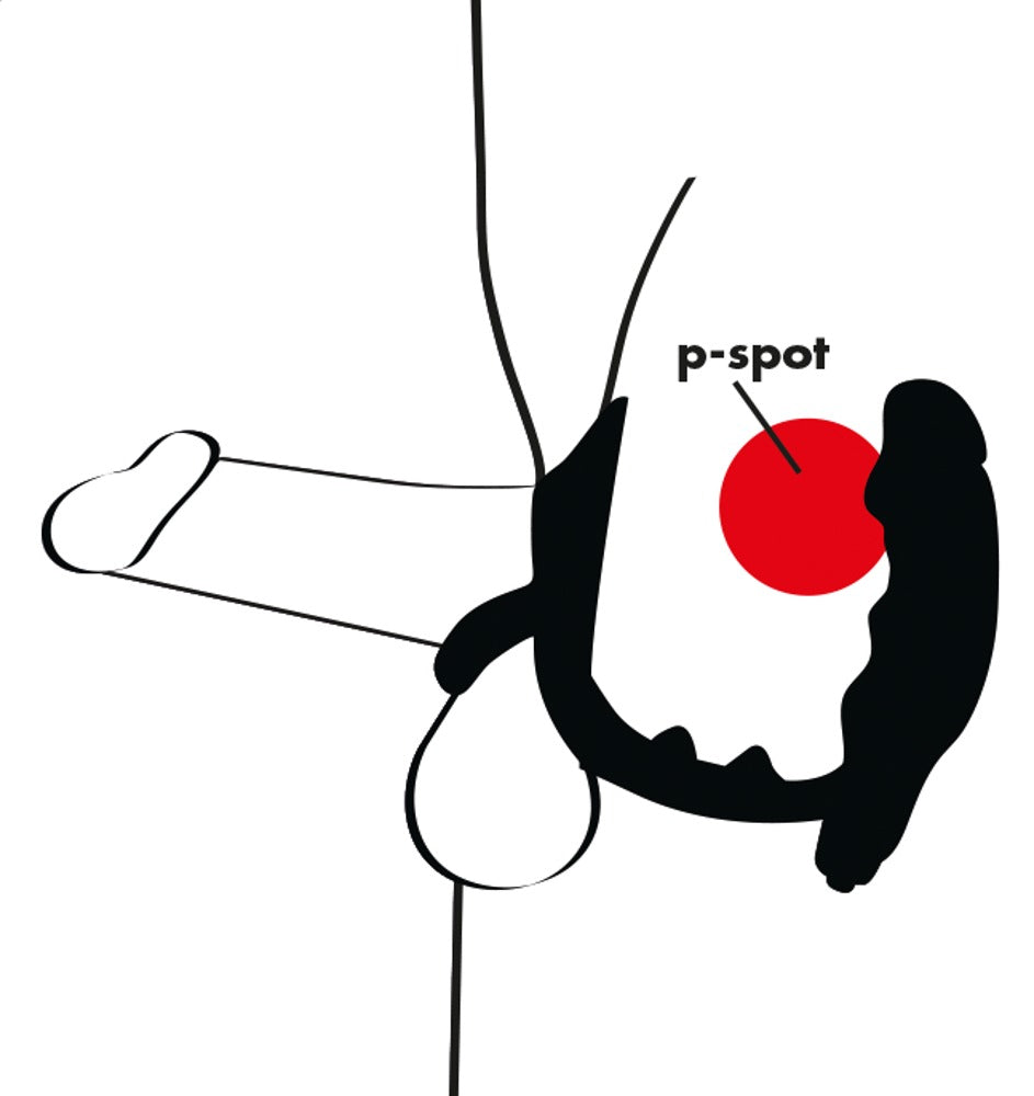 Penis Ring &amp; Butt Plug