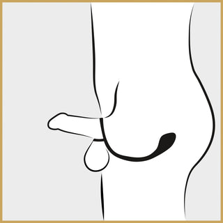 Buttplug Pung & Penisring