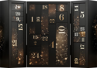 Satisfyer Adventskalender Premium