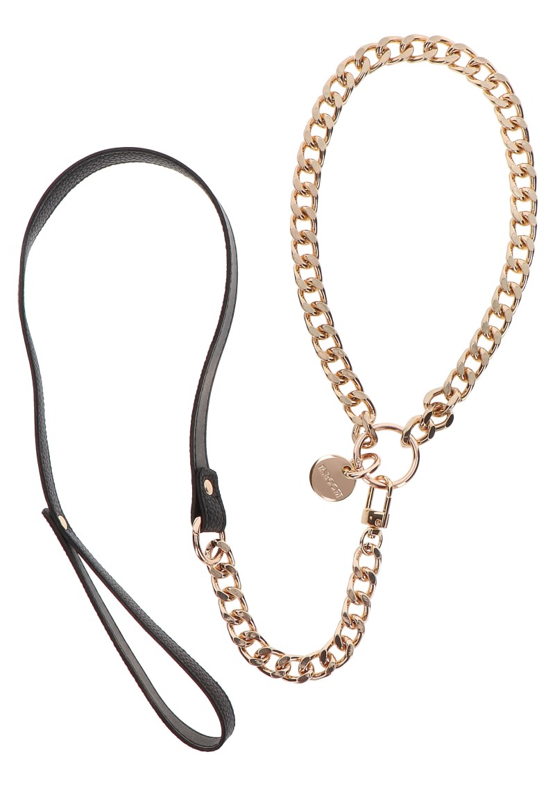 Metal Collars &amp; Leashes