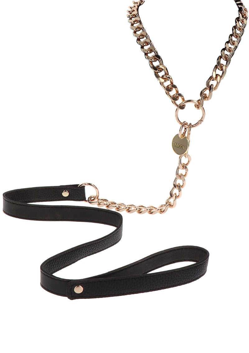 Metal Collars &amp; Leashes