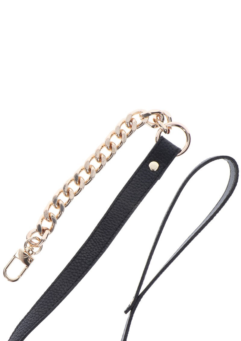 Metal Collars &amp; Leashes