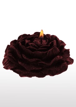 2 st Rose Japanease Dropp Ljus