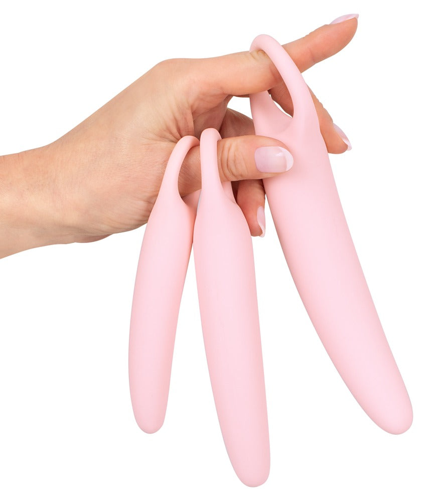 Vaginal Training Set