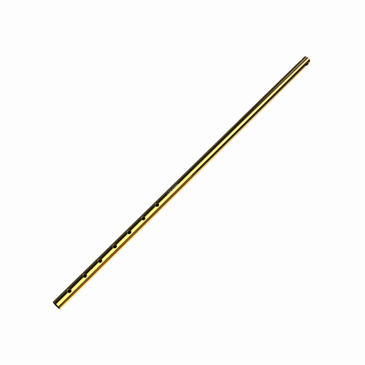 Adjustable Anal Hook - gold